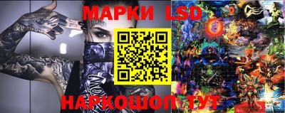 PSILOCYBIN Камышлов