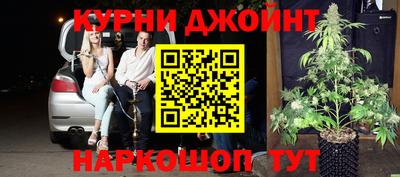 PSILOCYBIN Камышлов