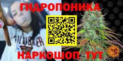 прущая мука Кандалакша