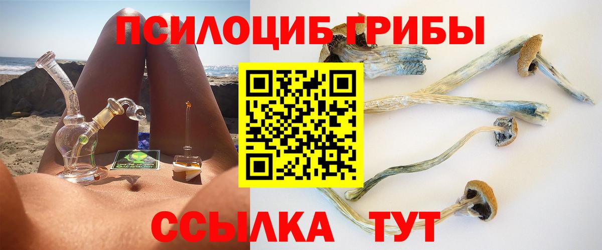 Псилоцибиновые грибы Psilocybe Златоуст
