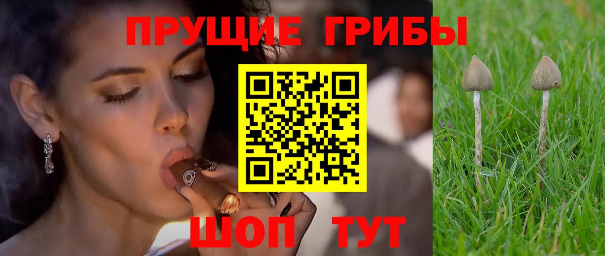 Галлюциногенные грибы ЛСД  Вход с VPN  Златоуст 
