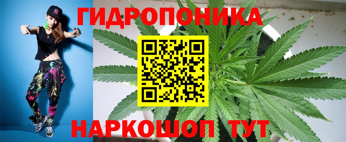 Канабис семена Златоуст